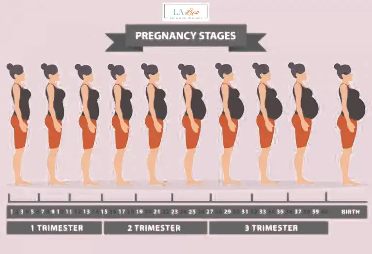 First Trimester (Weeks 1–12): Early Changes You Might Not Notice Wisbech